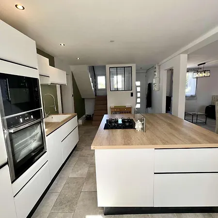 别墅 Maison Moderne A Avec Jardin Clos, Wifi, Animaux Admis, Proche Plages - Fr-1-479-181 普卢伊内克
